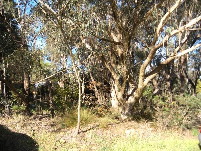 333 Cliff Drive, Katoomba NSW 2780