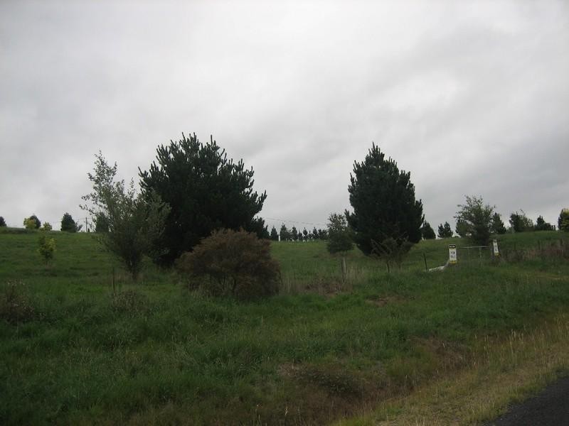 10 Dicker Drive, Little Hartley NSW 2790