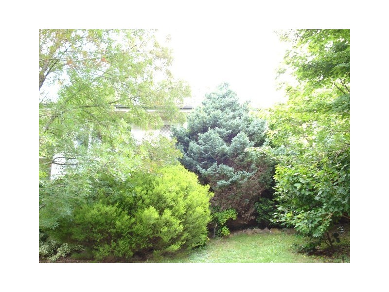 63 Godson Ave,, Blackheath NSW 2785