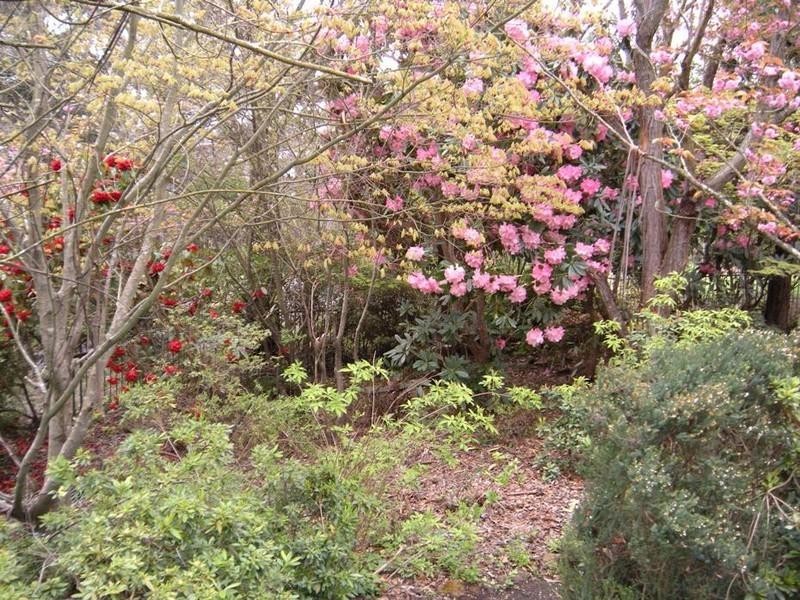 Mount Victoria NSW 2786