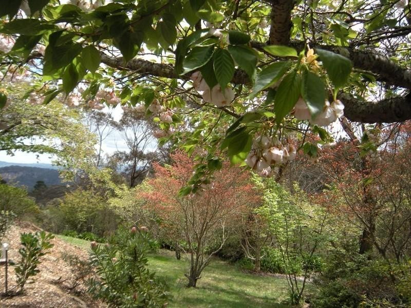 Mount Victoria NSW 2786