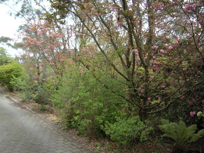 Mount Victoria NSW 2786