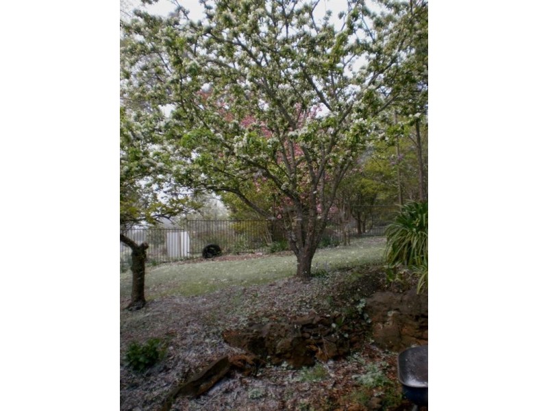 Mount Victoria NSW 2786