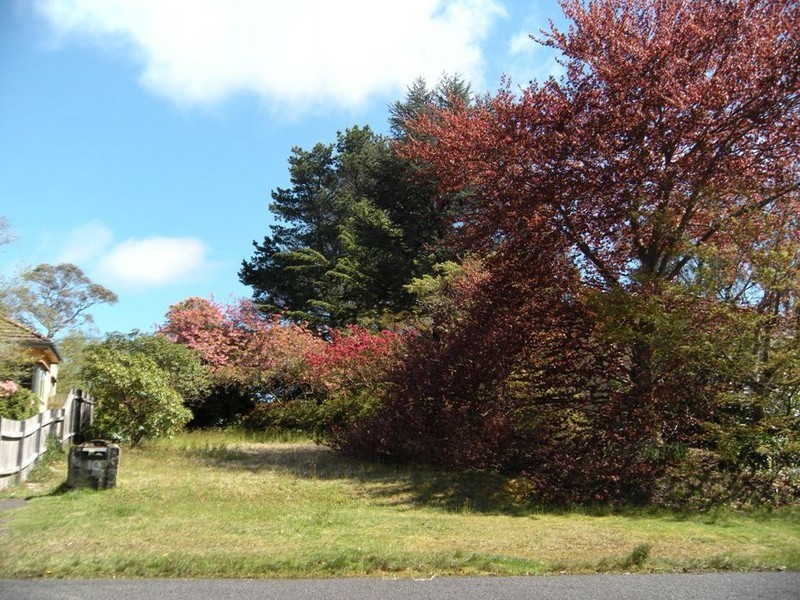 10 Shillington Street, Blackheath NSW 2785