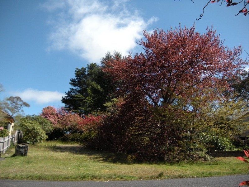 10 Shillington Street, Blackheath NSW 2785