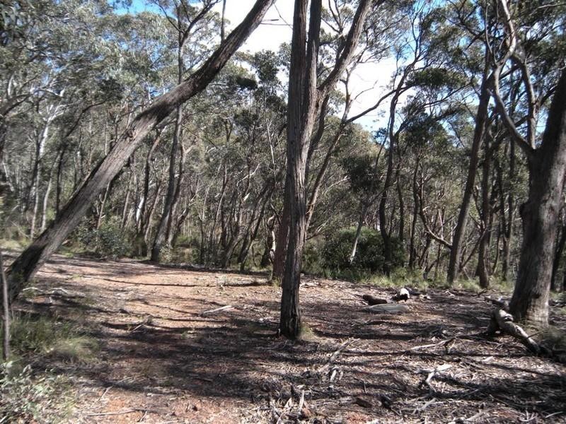 11 (Lot 10) Balmoral Road, Mount Victoria NSW 2786