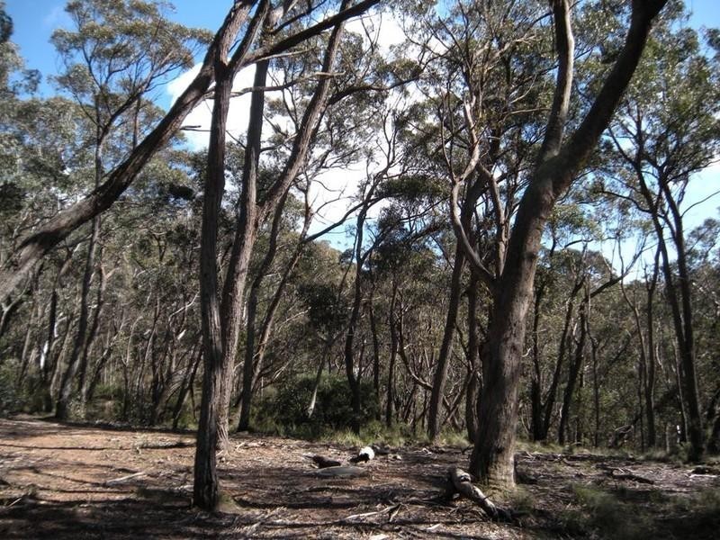 11 (Lot 10) Balmoral Road, Mount Victoria NSW 2786