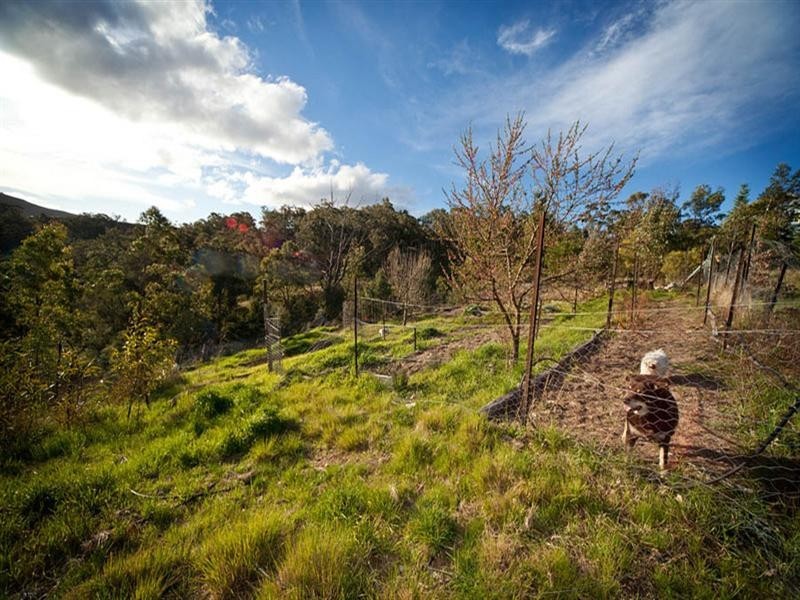 264 Megalong Place, Kanimbla NSW 2790