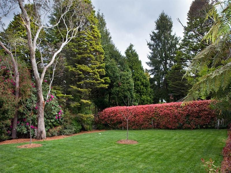 9 Heath Street, Blackheath NSW 2785