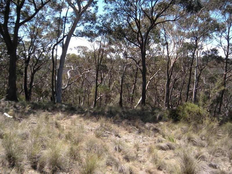 31-37 Salisbury Avenue, Mount Victoria NSW 2786