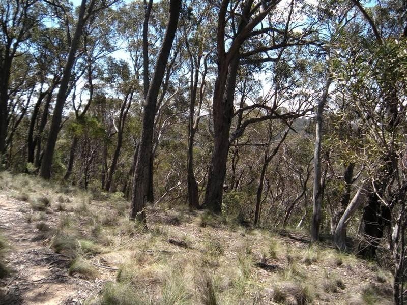 31-37 Salisbury Avenue, Mount Victoria NSW 2786