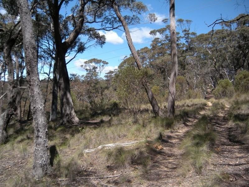 31-37 Salisbury Avenue, Mount Victoria NSW 2786