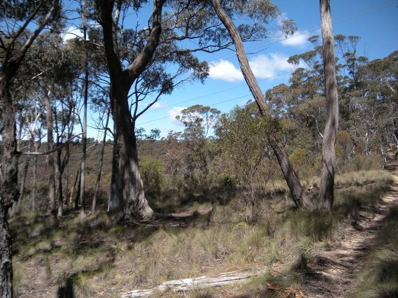 31-37 Salisbury Avenue, Mount Victoria NSW 2786