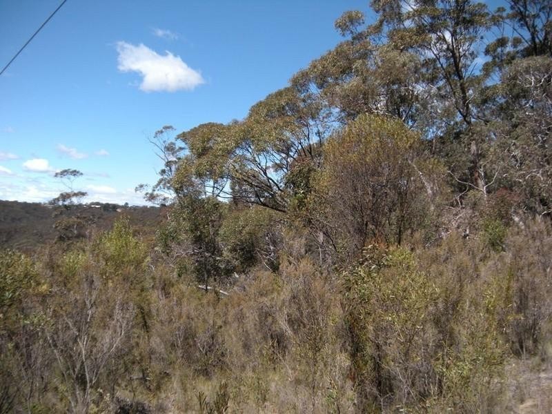 31-37 Salisbury Avenue, Mount Victoria NSW 2786