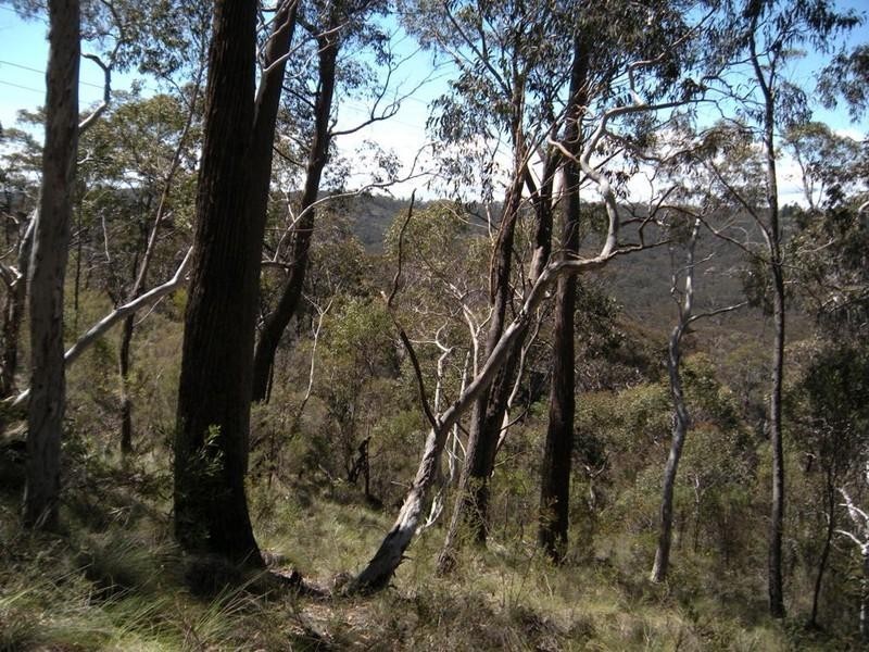 31-37 Salisbury Avenue, Mount Victoria NSW 2786