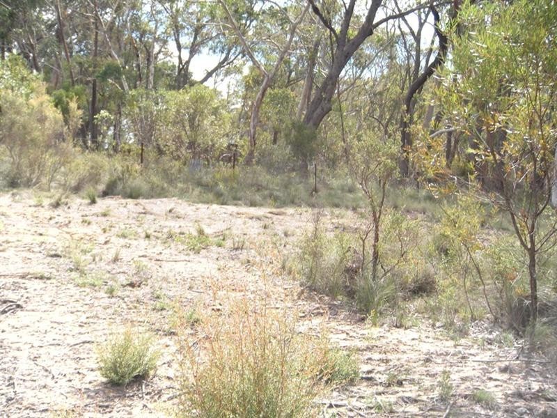 31-37 Salisbury Avenue, Mount Victoria NSW 2786