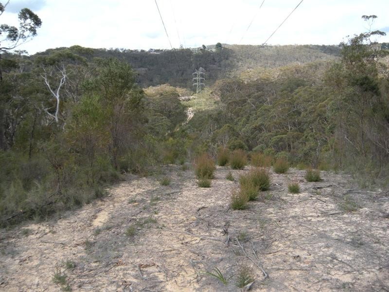 31-37 Salisbury Avenue, Mount Victoria NSW 2786