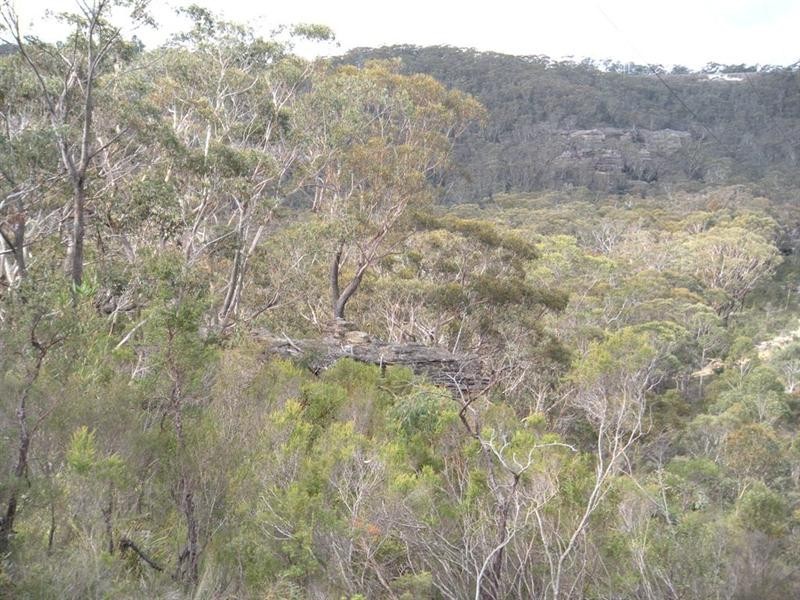 31-37 Salisbury Avenue, Mount Victoria NSW 2786