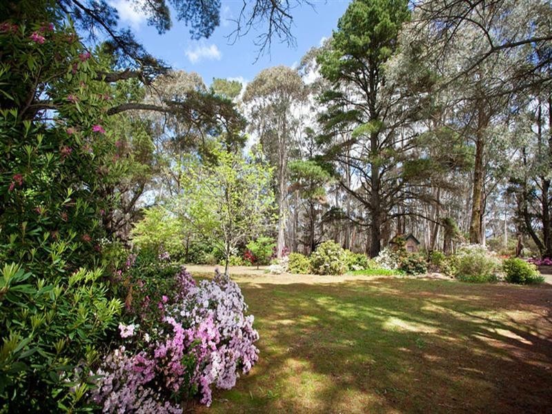 Mount Victoria NSW 2786