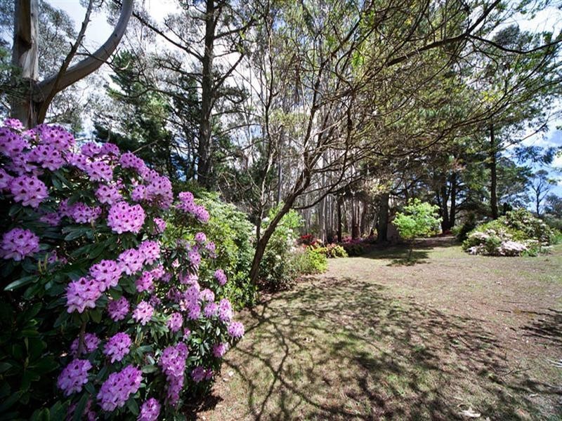 Mount Victoria NSW 2786