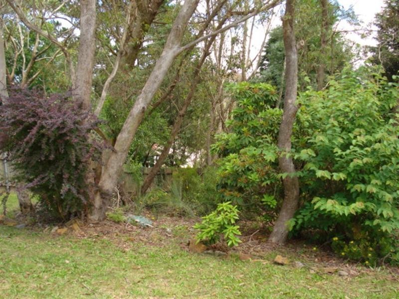 26 Hillier Avenue, Blackheath NSW 2785