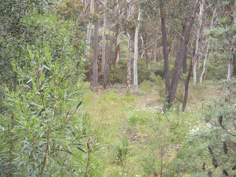 156 Victoria Street, Mount Victoria NSW 2786