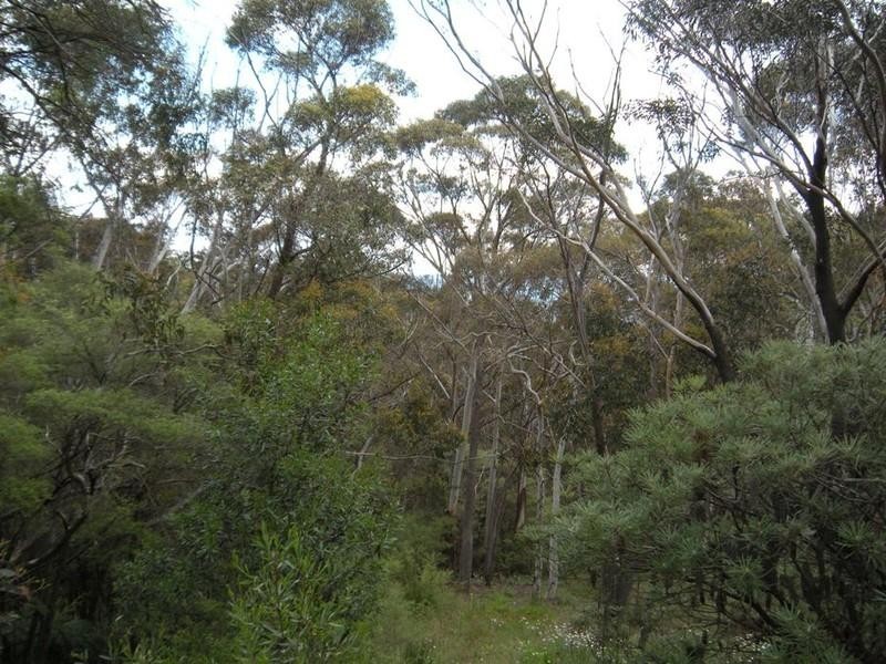 156 Victoria Street, Mount Victoria NSW 2786