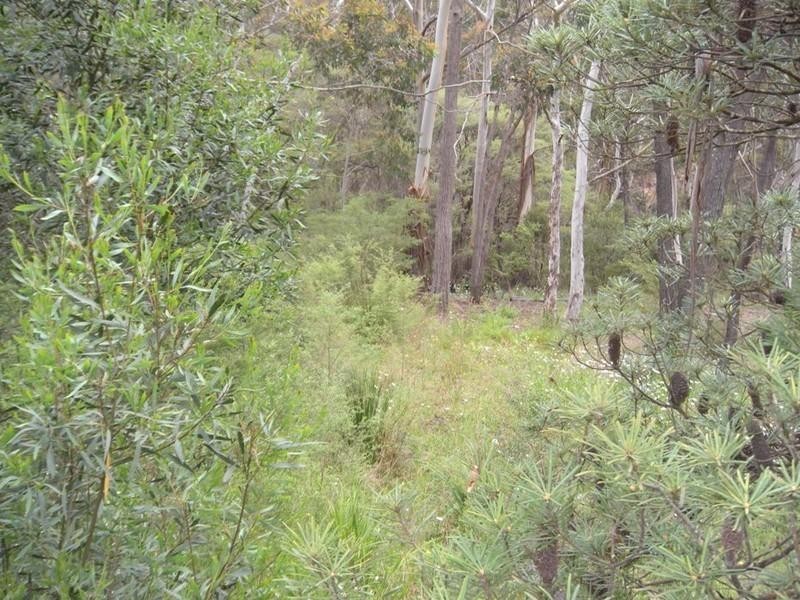 156 Victoria Street, Mount Victoria NSW 2786