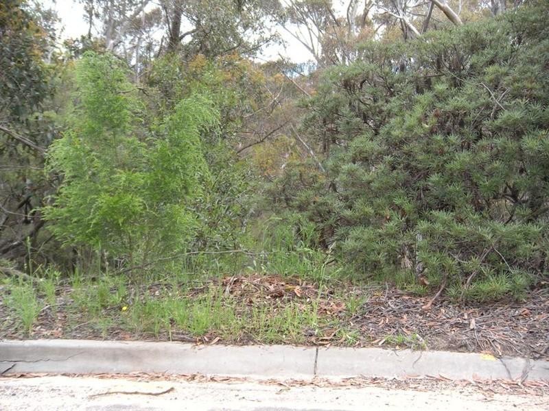 156 Victoria Street, Mount Victoria NSW 2786