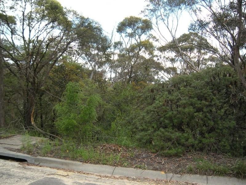 156 Victoria Street, Mount Victoria NSW 2786