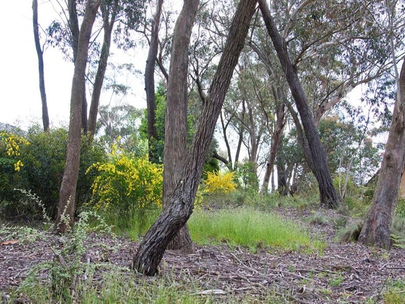 26 Mount York Road, Mount Victoria NSW 2786