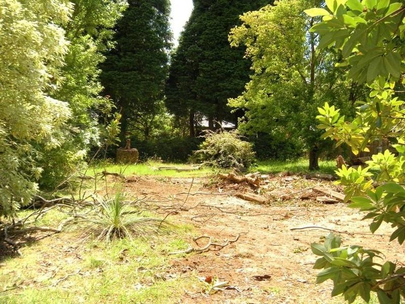 204 Connaught Road, Blackheath NSW 2785