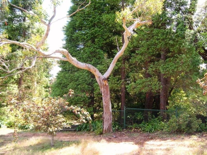 204 Connaught Road, Blackheath NSW 2785