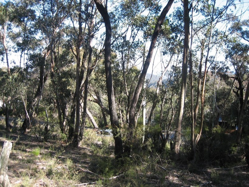 131 Victoria Street, Mount Victoria NSW 2786