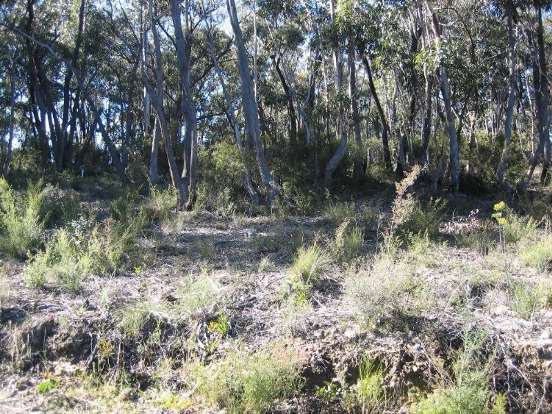 131 Victoria Street, Mount Victoria NSW 2786