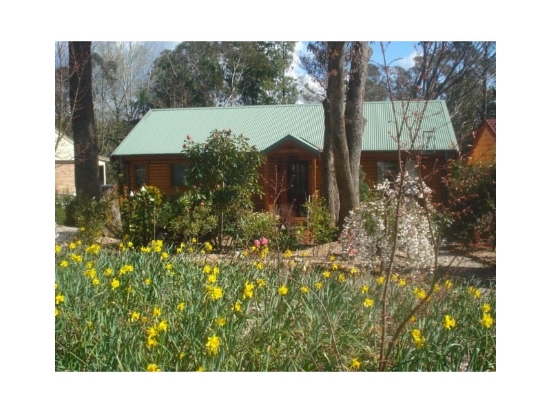 12 Harrison Street, Blackheath NSW 2785