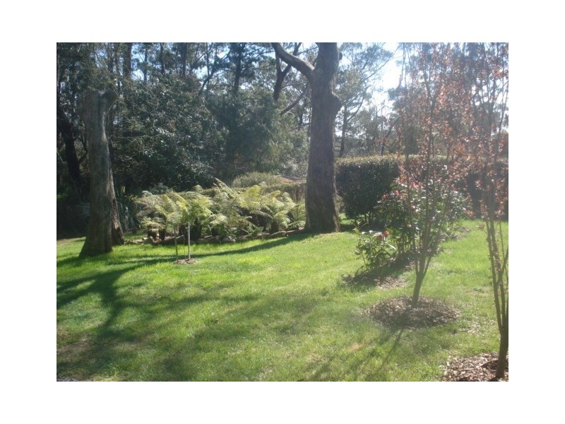 12 Harrison Street, Blackheath NSW 2785