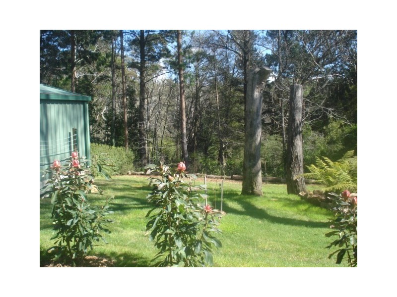 12 Harrison Street, Blackheath NSW 2785