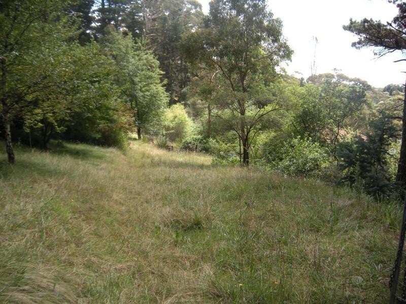 12 Burwood Road, Mount Victoria NSW 2786