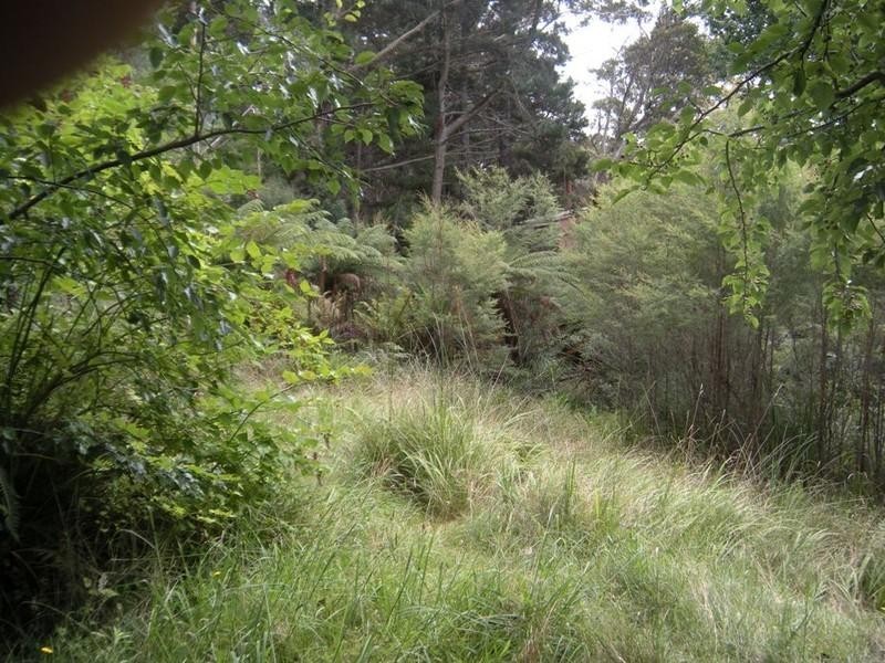 12 Burwood Road, Mount Victoria NSW 2786