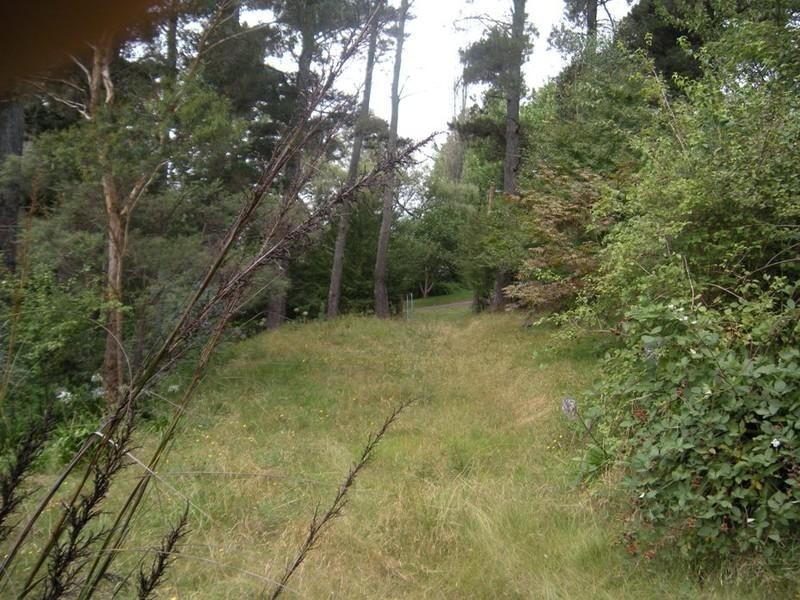 12 Burwood Road, Mount Victoria NSW 2786