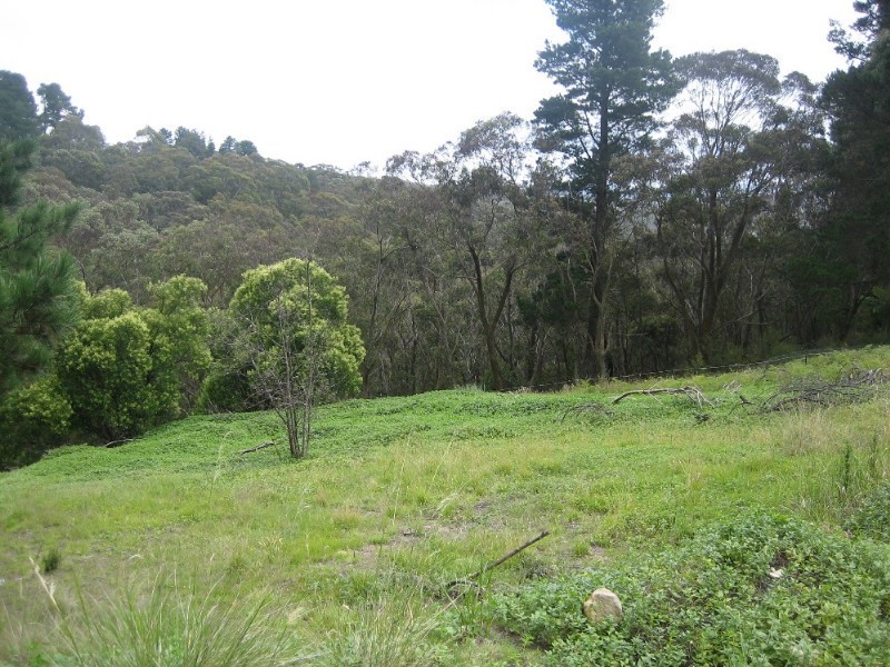 38 Darling Causeway, Mount Victoria NSW 2786