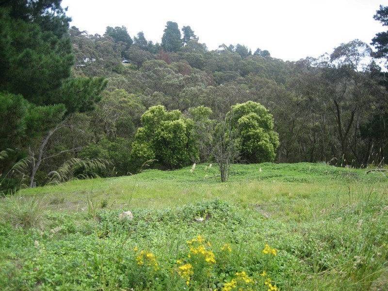 36 Darling Causeway, Mount Victoria NSW 2786