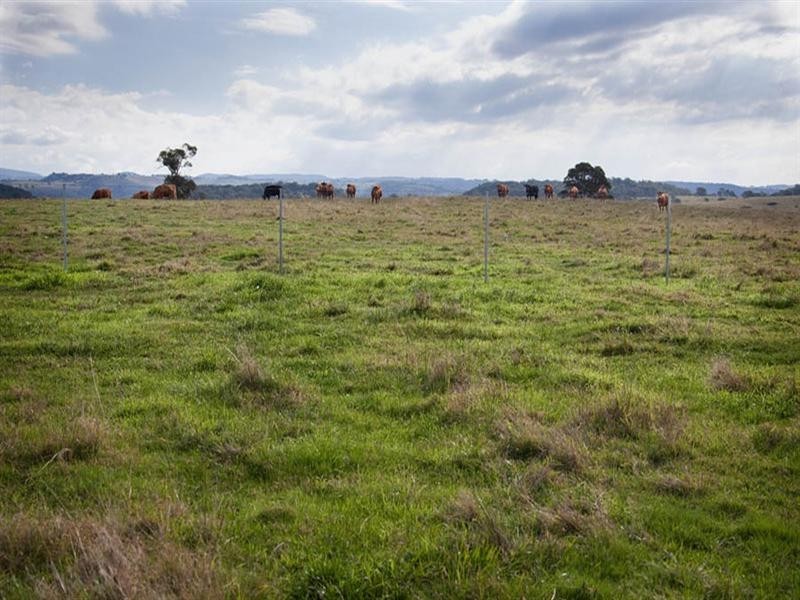 302 (Lot 101) Coxs River Road, Little Hartley NSW 2790