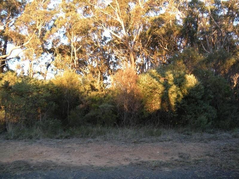 26 (Lot 62) Delmonte Avenue, Medlow Bath NSW 2780