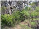 26 (Lot 62) Delmonte Avenue, Medlow Bath NSW 2780