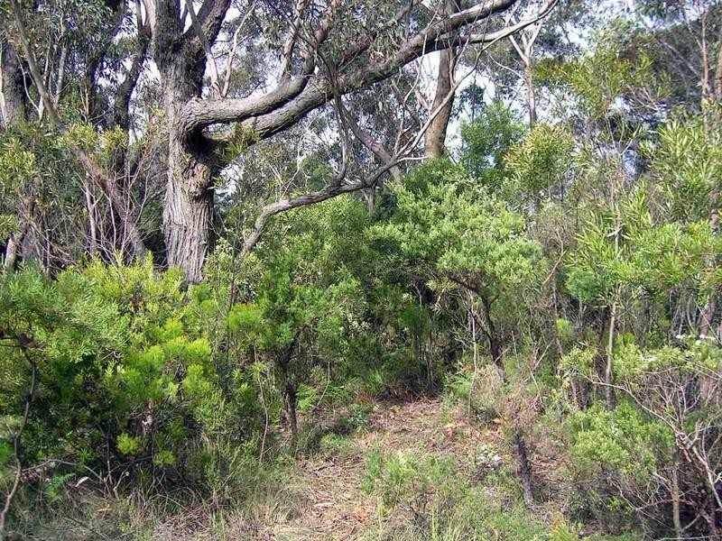 26 (Lot 62) Delmonte Avenue, Medlow Bath NSW 2780