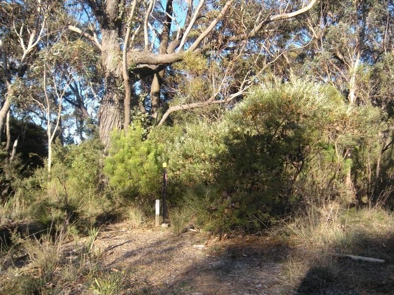 26 (Lot 63) Delmonte Avenue, Medlow Bath NSW 2780