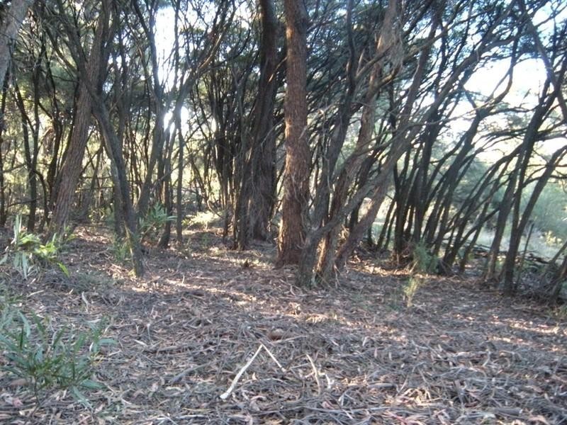 26 (Lot 63) Delmonte Avenue, Medlow Bath NSW 2780