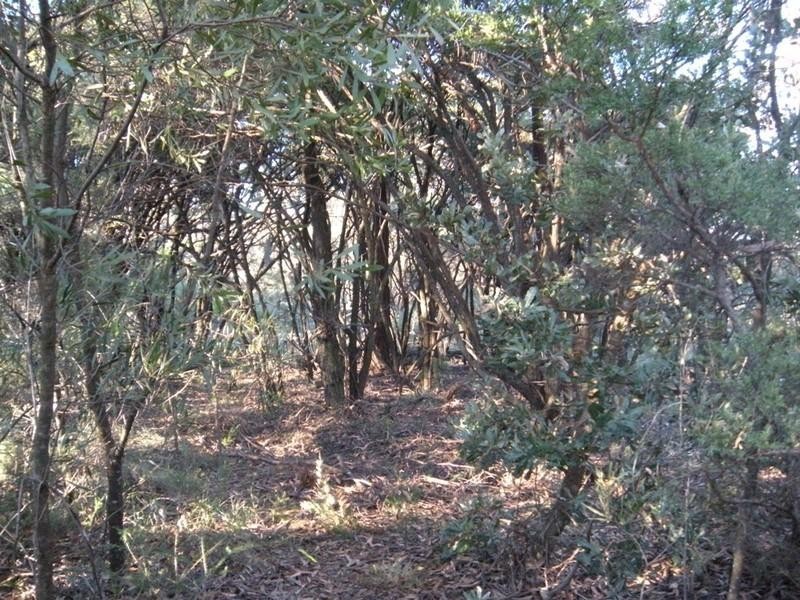 26 (Lot 63) Delmonte Avenue, Medlow Bath NSW 2780